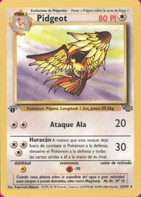 Pidgeot (024/064)