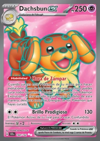 Dachsbun ex (160/175)