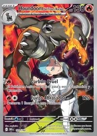 Houndoom (191/244)