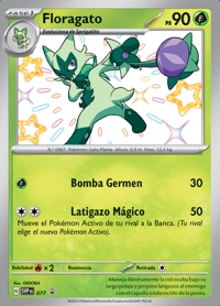Floragato (077/102)