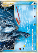 Carta de la expansión HeartGold y SoulSilver