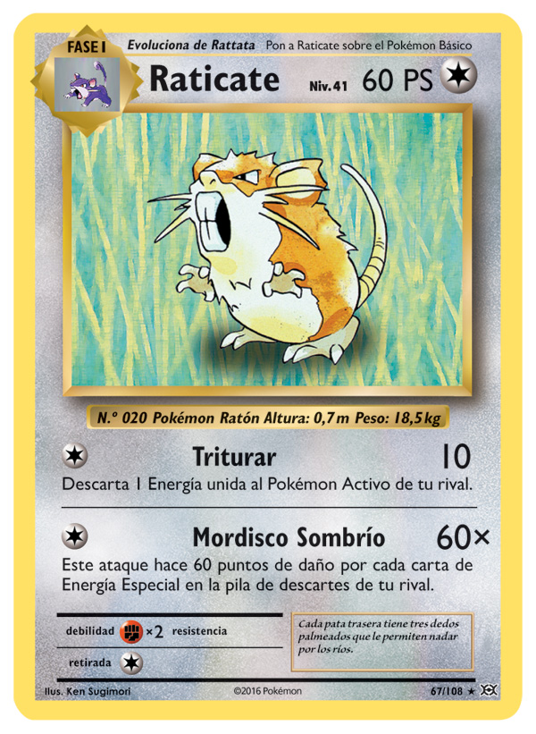 Carta de la expansión Evoluciones