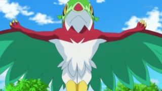 Hawlucha de Ash Ketchum