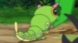 Caterpie de Goh
