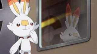 Scorbunny de Goh