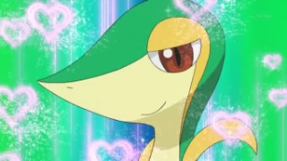 Snivy de Ash Ketchum