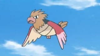 Spearow de Goh