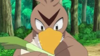 Farfetch’d de Goh