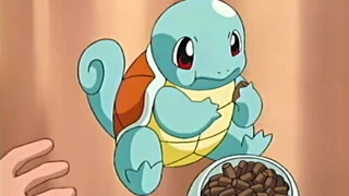 Squirtle de Aura