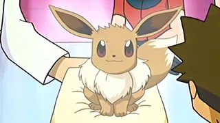 Eevee de Aura