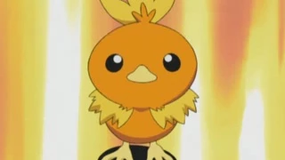 Torchic de Aura