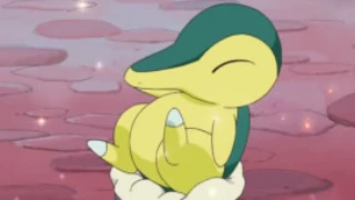 Cyndaquil de Maya