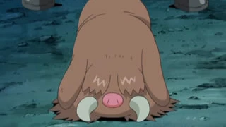 Piloswine de Maya