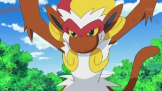 Infernape de Ash Ketchum
