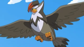 Staraptor de Ash Ketchum