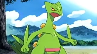 Sceptile de Ash Ketchum