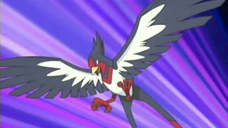 Swellow de Ash Ketchum