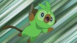 Grookey de Goh