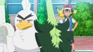 Sirfetch’d de Ash Ketchum