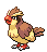 #016 Pidgey