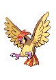 #017 Pidgeotto