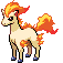 #077 Ponyta