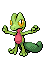 #252 Treecko