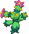 #556 Maractus