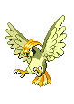 #017 Pidgeotto