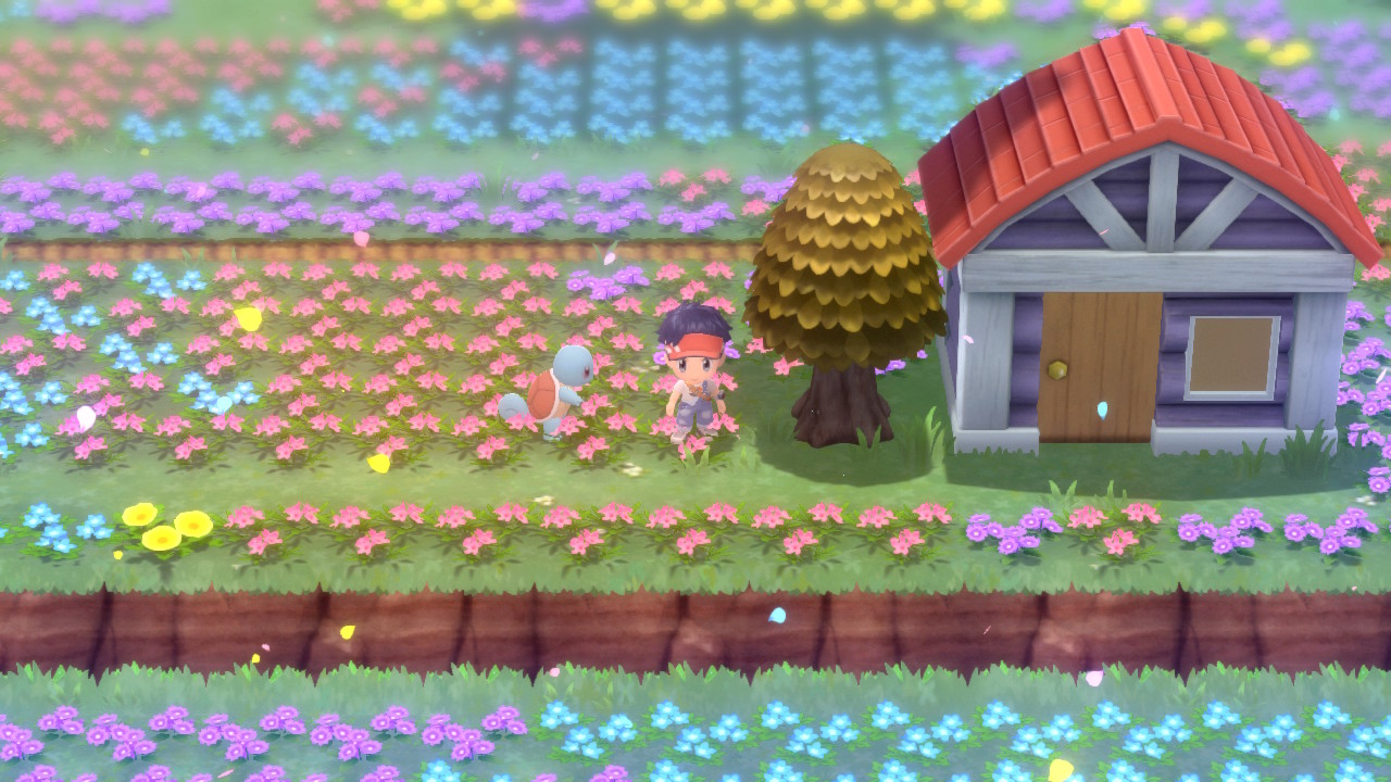 Prado Aromaflor Prado Aromaflor