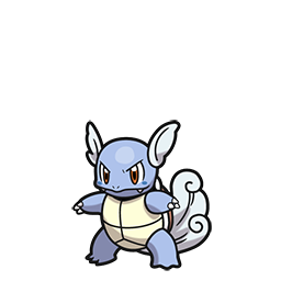 #008 Wartortle