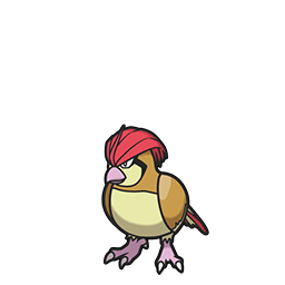 #017 Pidgeotto