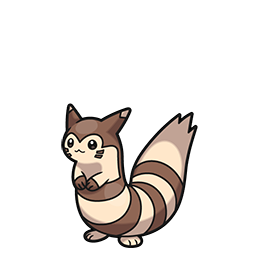 #162 Furret