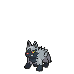 #261 Poochyena