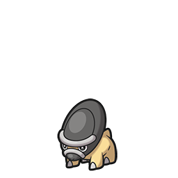 #410 Shieldon