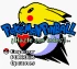 Pokémon Pinball