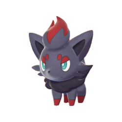 #570 Zorua