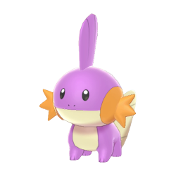 #258 Mudkip