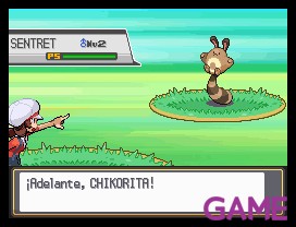 Pokemon Oro HeartGold y Plata SoulSilver