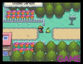 Pokemon Oro HeartGold y Plata SoulSilver