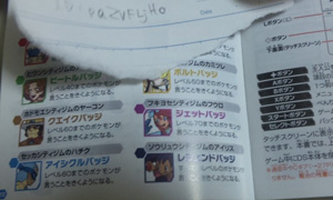 Lideres de Isshu Lideres de Isshu