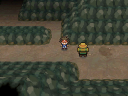 Pasadizo Ancestral en Pokémon Blanco 2 y Negro 2