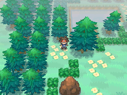 Reserva Natural en Pokémon Blanco 2 y Negro 2