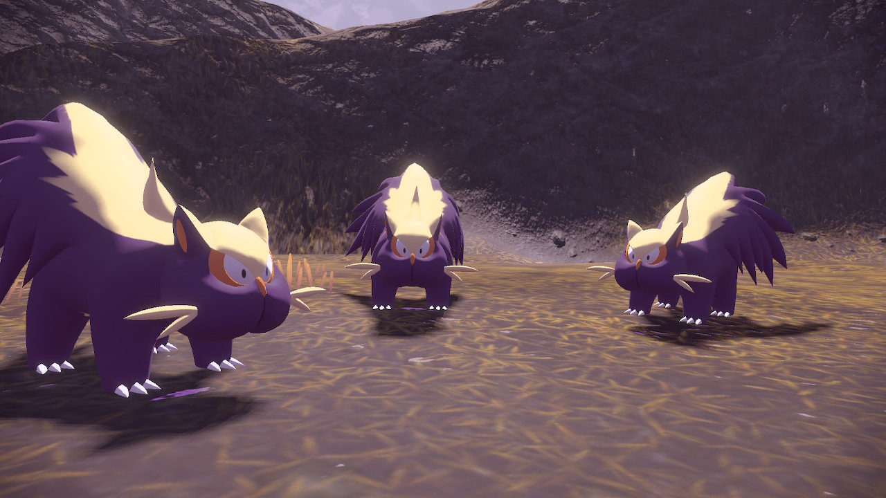 Petición 31: Montemos la base del páramo