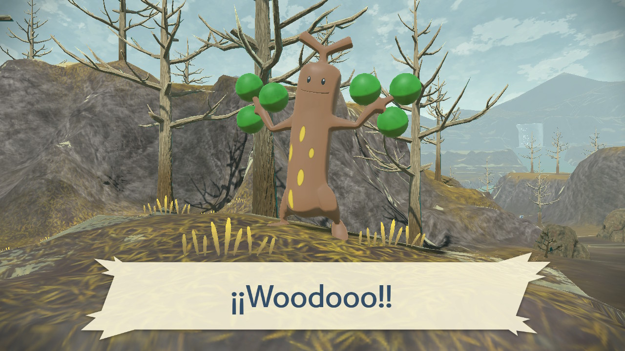 Petición 36: ¡Como agua de mayo!