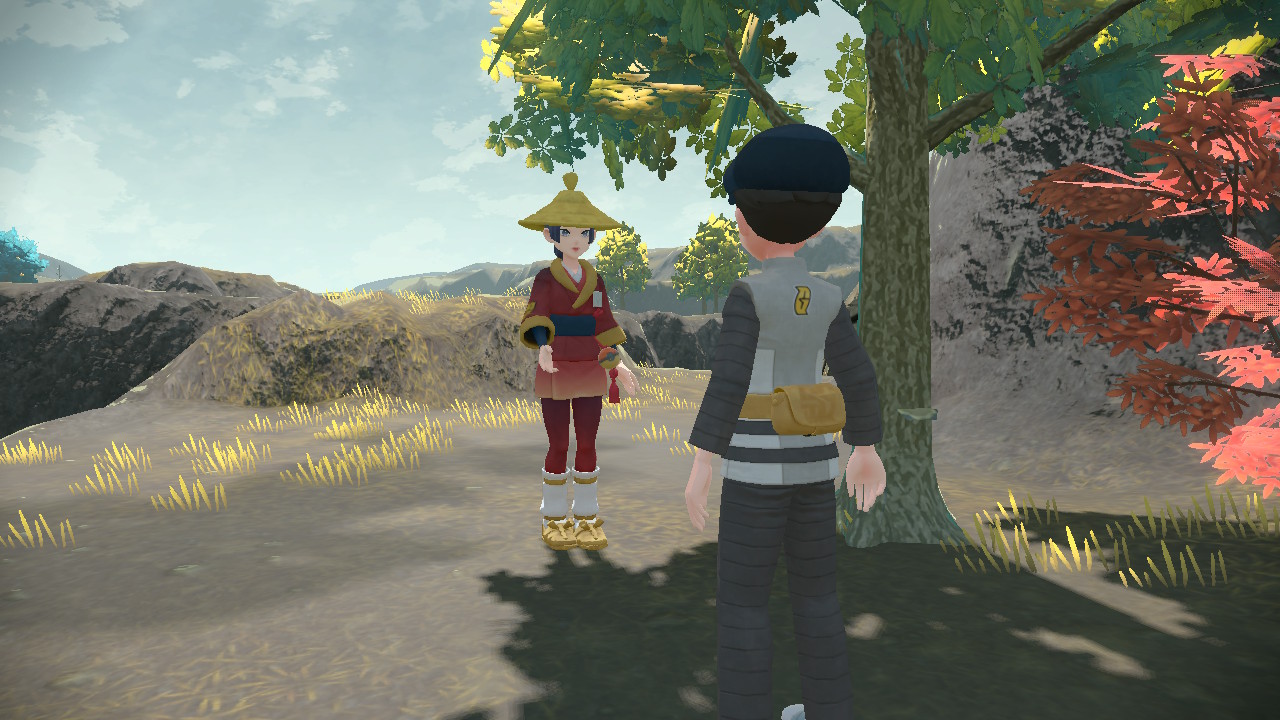 Petición 38: Perdida en el pantanal