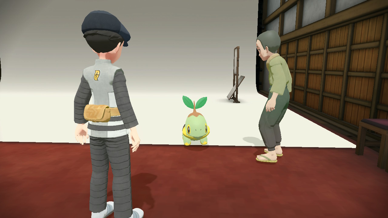 Petición 62: El Pokémon de la fotografía del río