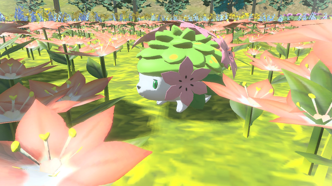 Petición 92: Gracias de todo corazón