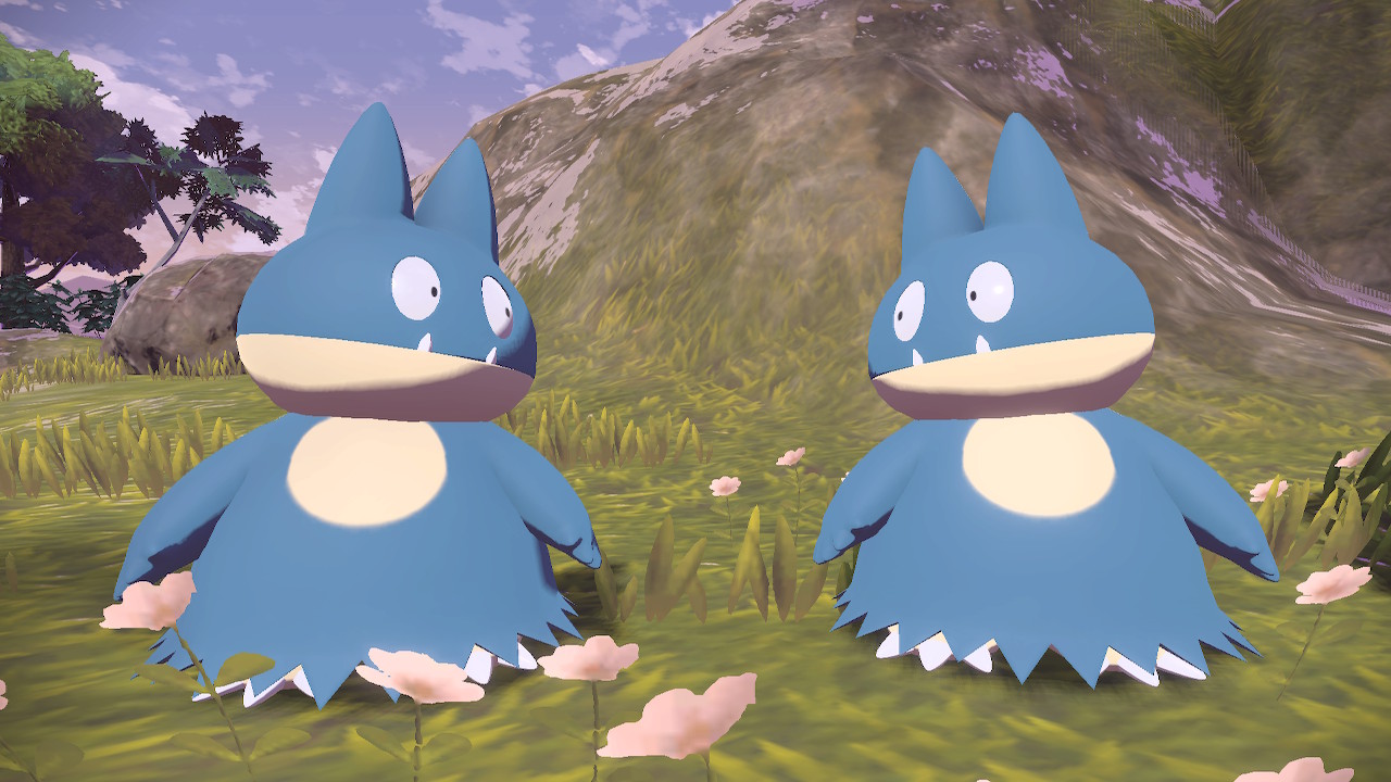 Petición 95: Un nuevo desastre