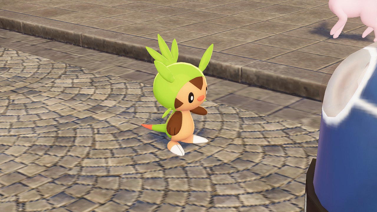 7. Un Chespin insaciable